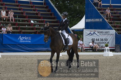 Dm - Uwm iagttagelse - Paradressur
Dm paradressur
Nøgleord: malene høj sommerlund;grandalgaards moon dancer