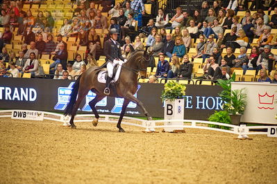 Dansk varmblod hingstekåring.
grandprix special 5
Nøgleord: shingo hayashi;scolari 4