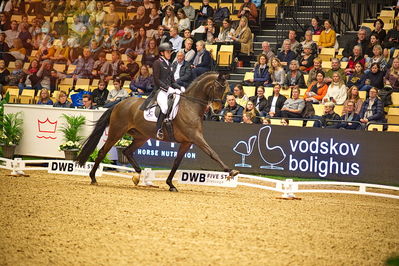 Dansk varmblod hingstekåring.
grandprix special 5
Nøgleord: shingo hayashi;scolari 4