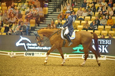 Dansk varmblod hingstekåring.
grandprix special 5
Nøgleord: michelle hagman hassink;chagall h