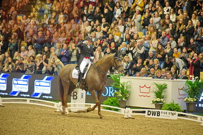 Dansk varmblod hingstekåring.
grandprix special 5
Nøgleord: cathrine dufour;bohemian