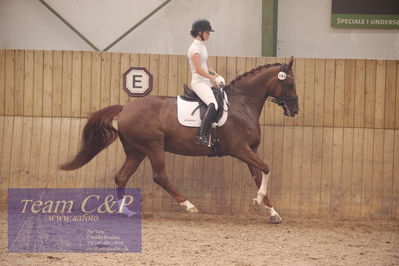 Vallensbæk refion 1
4års hopperr
Nøgleord: mette brandt;skyline horsebo