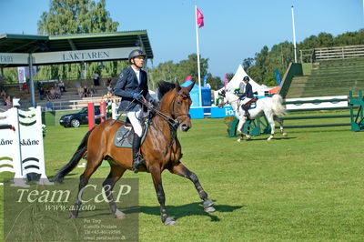 Showjumping
CSI3 Table A (238.2.1) 1.45m
Nøgleord: thomas velin;quidamo-d