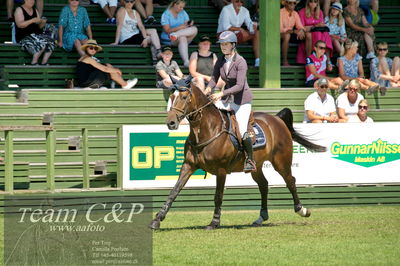 Showjumping
Folksam Open 5-åriga hästar - Final
Nøgleord: elin andersson;kitsch couture hpk 36