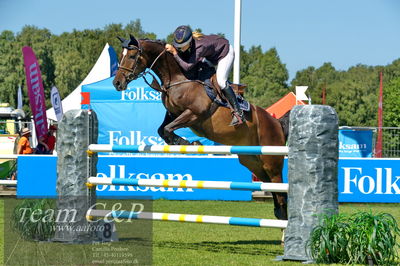 Showjumping
Folksam Open 5-åriga hästar - Final
Nøgleord: elin andersson;kitsch couture hpk 36