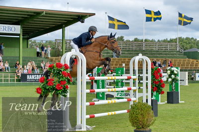 Showjumping
Horseware 7-årschampionat - Final
Nøgleord: niklas arvidsson;viking hästak (swb)