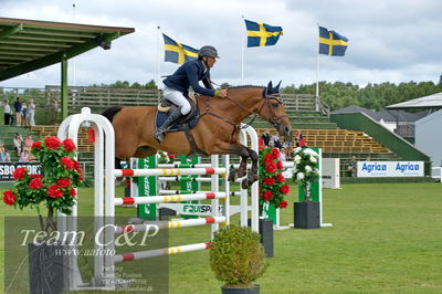 Showjumping
Horseware 7-årschampionat - Final
Nøgleord: niklas arvidsson;viking hästak (swb)