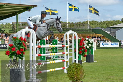 Showjumping
Horseware 7-årschampionat - Final
Nøgleord: peder fredricson;jumper d'oase