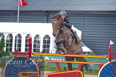 Absolut horses
2. kval og finale Agria DRF Mesterskab U18 - MA2 Springning Heste (140 cm)
Nøgleord: cecilie kjær;darcon II z