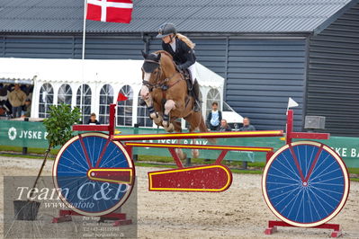 Absolut horses
2. kval og finale Agria DRF Mesterskab U18 - MA2 Springning Heste (140 cm)
Nøgleord: victoria sophia hjorth-madsen;catwalk v