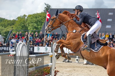 Absolut horses
2. kval og finale Agria DRF Mesterskab U18 - MA2 Springning Heste (140 cm)
Nøgleord: natasha tang kaspersen;contex 12