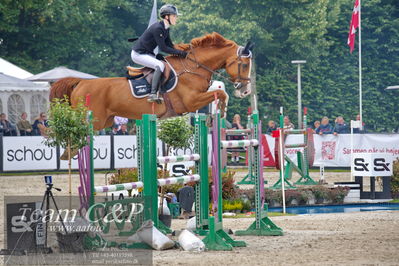 Absolut horses
2. kval og finale Agria DRF Mesterskab U18 - MA2 Springning Heste (140 cm)
Nøgleord: natasha tang kaspersen;contex 12