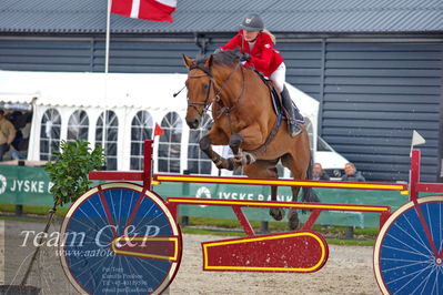 Absolut horses
2. kval og finale Agria DRF Mesterskab U18 - MA2 Springning Heste (140 cm)
Nøgleord: josefine sandgaard mørup;de semilly edition
