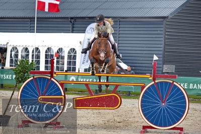 Absolut horses
2. kval og finale Agria DRF Mesterskab U18 - MA2 Springning Heste (140 cm)
Nøgleord: line busk heltborg;gaville