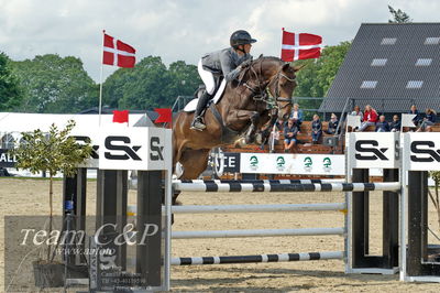 Absolut horses
youngster finale
Nøgleord: astrid svenstrup;diarana love