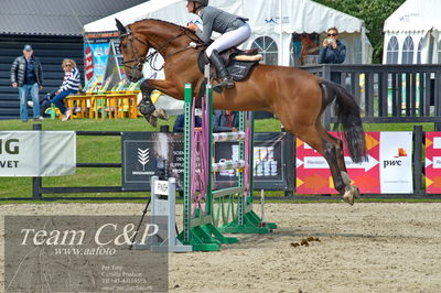 Absolut horses
youngster finale
Nøgleord: filippa sand ibsen;question of love