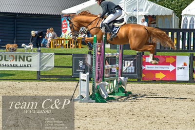 Absolut horses
youngster finale
Nøgleord: torben frandsen;elmegårdens  dakota