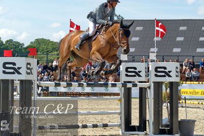 Absolut horses
youngster finale
Nøgleord: ian fives;conterno-blue ps