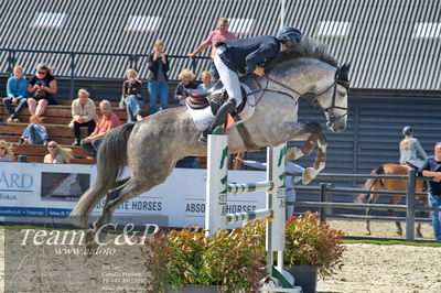 Absolut horses
youngster finale
Nøgleord: jacob theodor schmidt;syvhøjegårds unforgetable