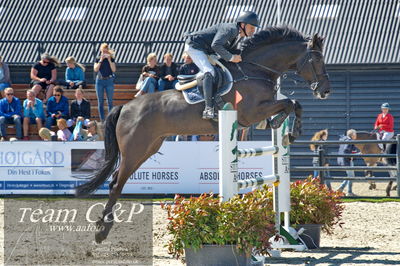 Absolut horses
youngster finale
Nøgleord: torben frandsen;lavion 3