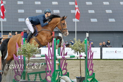 Absolut horses
la2 120cm
Nøgleord: claus hundebøl;unicorn's champion