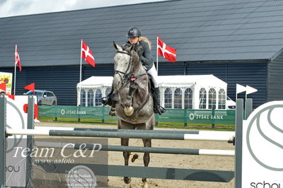 Absolut horses
la2 120cm
Nøgleord: sigrid sommer;dior