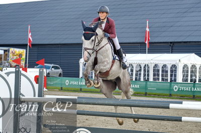 Absolut horses
la2 120cm
Nøgleord: julie højer thomsen;untouchable olympic