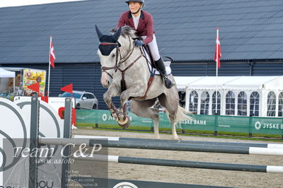 Absolut horses
la2 120cm
Nøgleord: julie højer thomsen;untouchable olympic