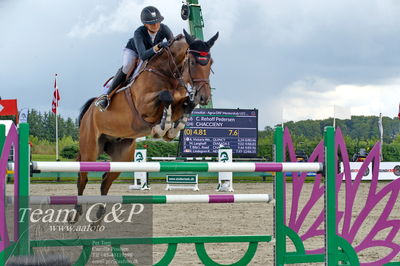 Absolut horses
2. kval og finale u 21
Nøgleord: caroline refhoff pedersen;chaccieny