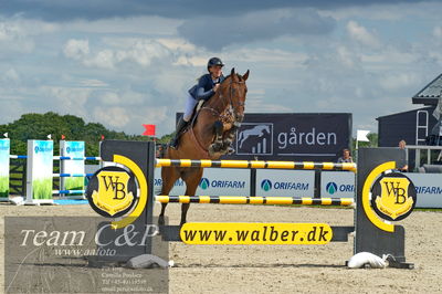 Absolut horses
2. kval og finale u 21
Nøgleord: thit bibi l royd;chacomo