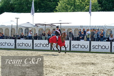 Absolut horses
2. kval og finale u 21
Nøgleord: maria barnewitz schou;seana 2;lap of honour;ceromoni