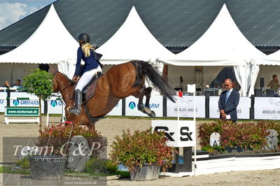 Absolut horses
2. kval. og finale Agria DRF Mesterskab U25 - S1 + S2 Springning Heste
Nøgleord: lærke olesen;bombay 36