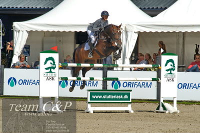 Absolut horses
2. kval. og finale Agria DRF Mesterskab U25 - S1 + S2 Springning Heste
Nøgleord: astrid svenstrup;bonaparte z