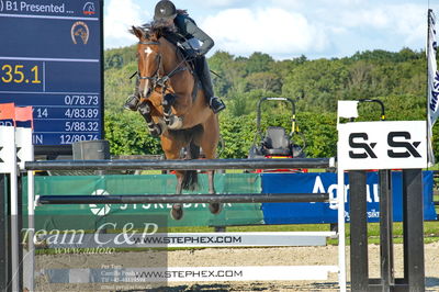 Absolut horses
S1 Springning Heste (145 cm) B1
Nøgleord: charlotte kondrup;dithmarsia