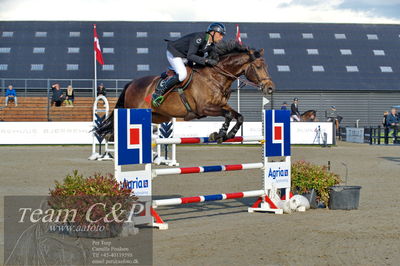 Absolut horses
Mb 130cvm
Nøgleord: mikkel friedrich;unity f