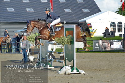 Absolut horses
Mb 130cvm
Nøgleord: rie rose lindegren roed;calalou