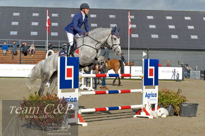 Absolut horses
Mb 130cvm
Nøgleord: jack ray nielsen;gerdings  carrie