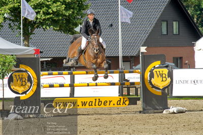 Absolut horses
Mb 130cvm
Nøgleord: mikkel friedrich;a cornelis z