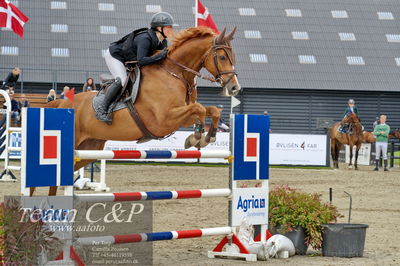 Absolut horses
Mb 130cvm
Nøgleord: cecilie kjær;chintano