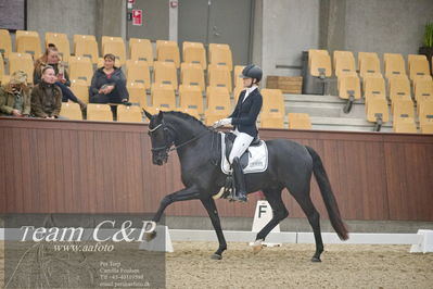 Blue Hors
1. kvl 4års heste dressur
Nøgleord: camila ahlers pedersen;skovmosegårds amarone