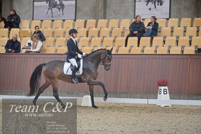 Blue Hors
1. kvl 4års heste dressur
Nøgleord: sølbakkehus maud;alan grøn