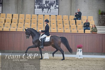 Blue Hors
1. kvl 4års heste dressur
Nøgleord: hesselhøj double up;anders uve sjøbeck hoeck