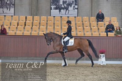 Blue Hors
1. kvl 4års heste dressur
Nøgleord: grevens venezia;silje bakken