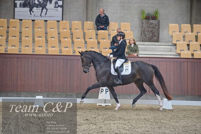 Blue Hors
1. kvl 4års heste dressur
Nøgleord: atterupgaards delahaye;selina solberg vittinghus