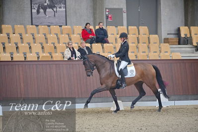 Blue Hors
1. kvl 4års heste dressur
Nøgleord: grevens venezia;silje bakken