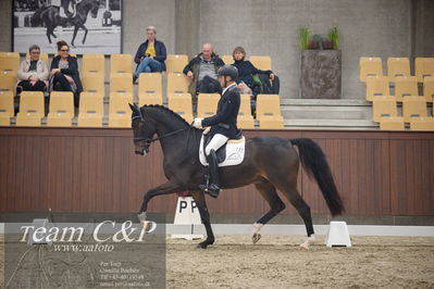 Blue Hors
5års dressur kvl
Nøgleord: jan møller Christensen;hesselhøj dream