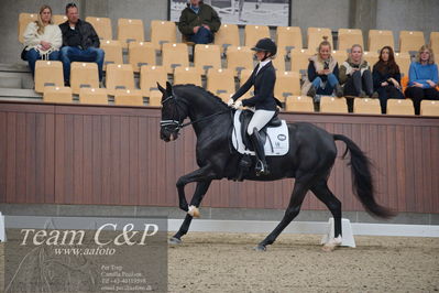 Blue Hors
5års dressur kvl
Nøgleord: kgs hørgaards fighter dwb;ida gulberg