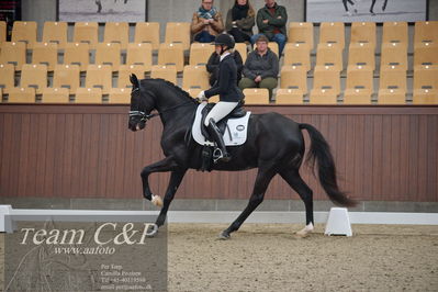 Blue Hors
5års dressur kvl
Nøgleord: kgs hørgaards fighter dwb;ida gulberg