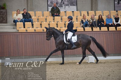 Blue Hors
5års dressur kvl
Nøgleord: hp grace;mia lykke ravn