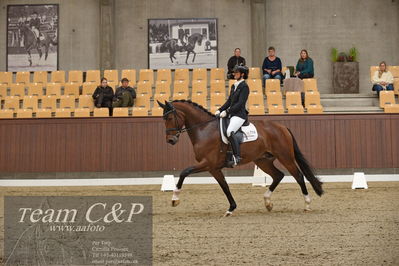 Blue Hors
5års dressur kvl
Nøgleord: betina jæger jensen;hussmanns top gun